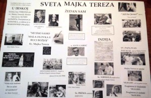 sveta majka tereza pano