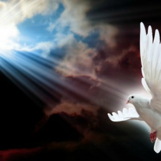 God's Messenger HD Desktop Background